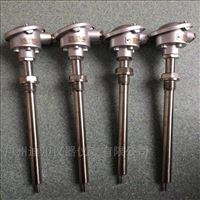 wzp赫(hè)斯曼溫度(du)傳感器